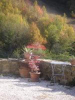 The Apartment In Autumn - Autuminal Golds 